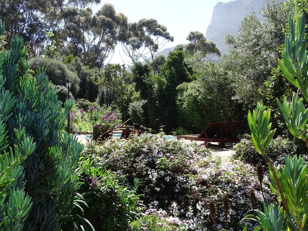 Intaba Lodge Hout Bay Exterior photo