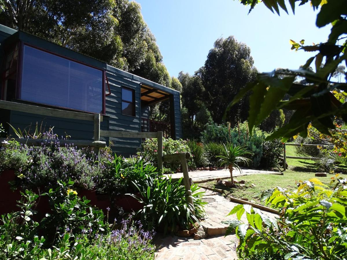 Intaba Lodge Hout Bay Room photo